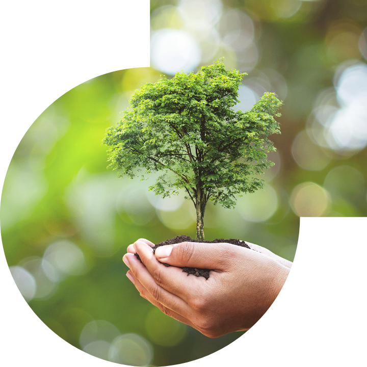 關懷人類、文化、環境與社會